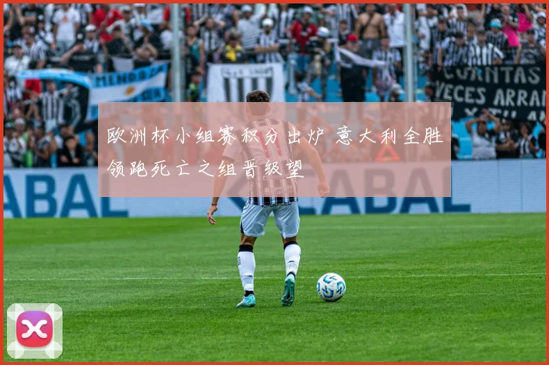 欧洲杯小组赛积分出炉 意大利全胜领跑死亡之组晋级望
