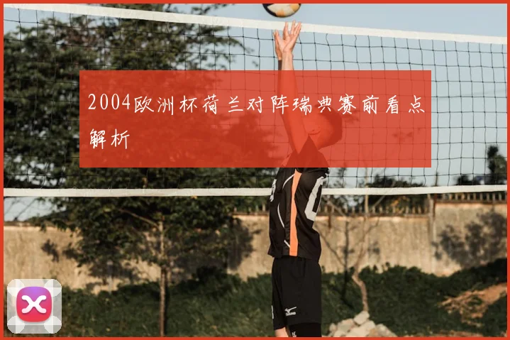 2004欧洲杯荷兰对阵瑞典赛前看点解析
