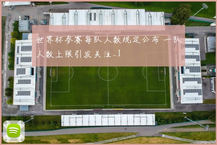 世界杯参赛每队人数规定公布 一队人数上限引发关注_1