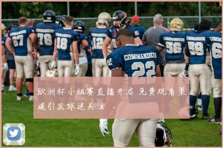 欧洲杯小组赛直播开启 免费观看渠道引发球迷关注