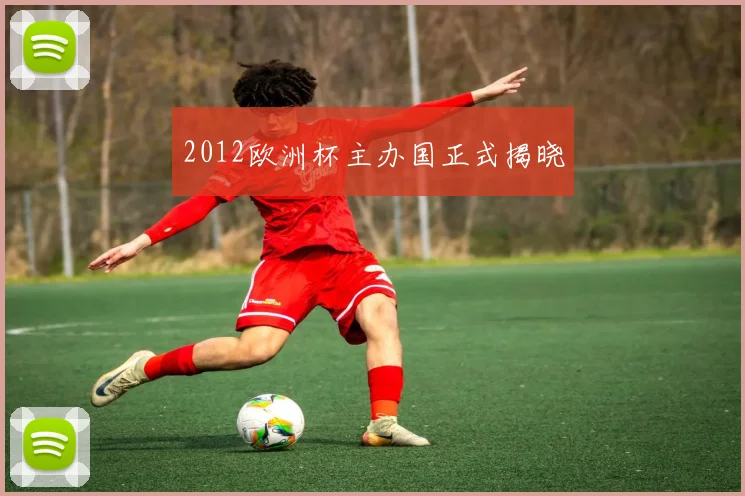 2012欧洲杯主办国正式揭晓