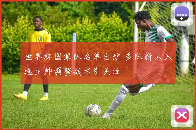 世界杯国家队名单出炉 多队新人入选主帅调整战术引关注