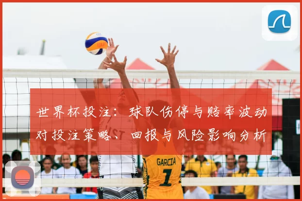 世界杯投注:球队伤停与赔率波动对投注策略、回报与风险影响分析